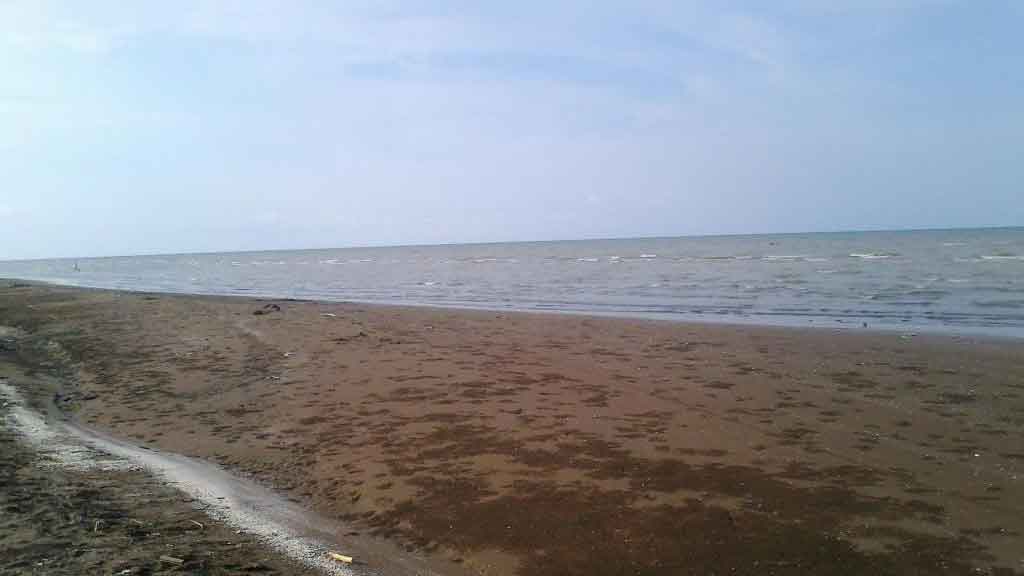 Pantai-Tanjung-Baru.jpg