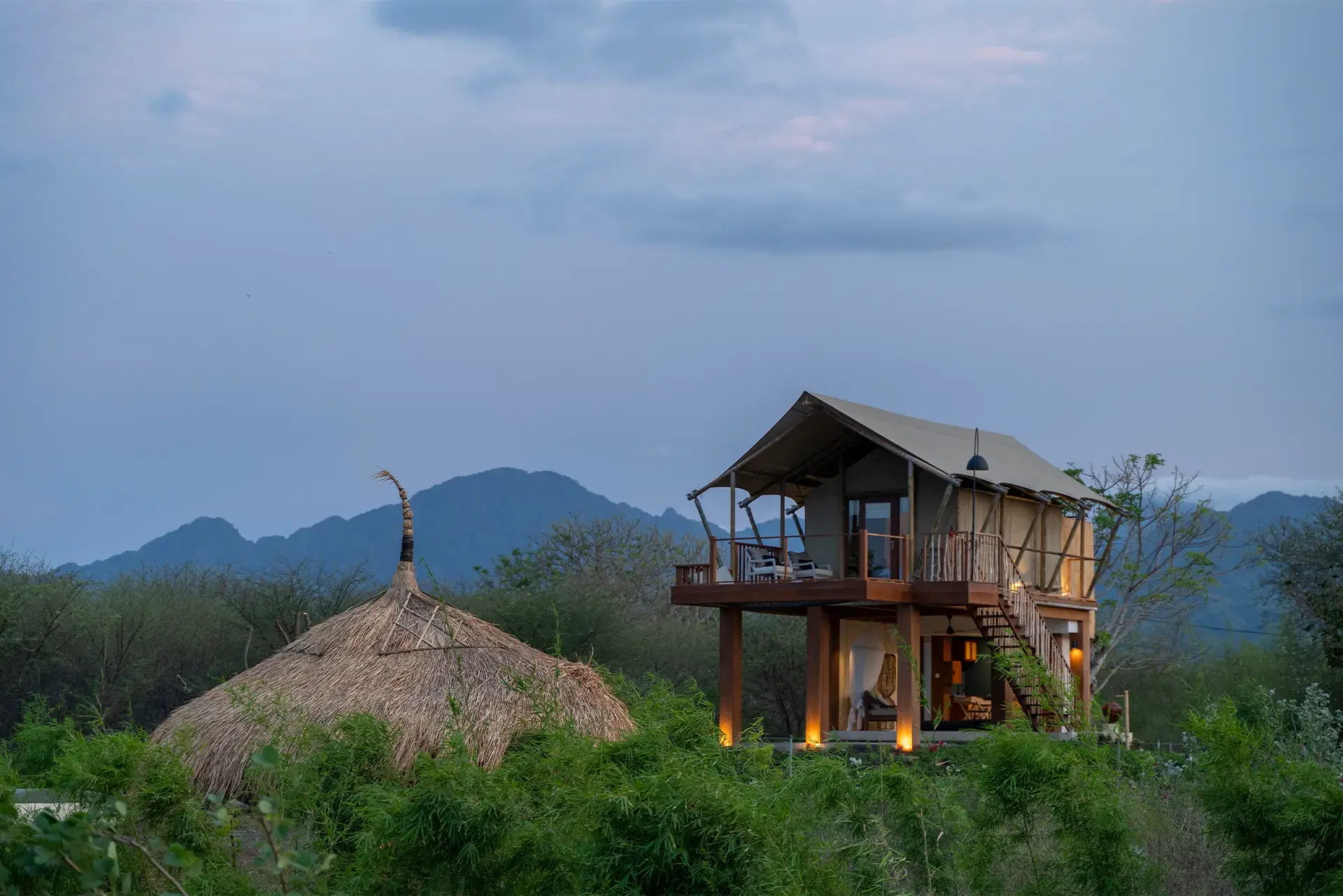 Jungle Tent