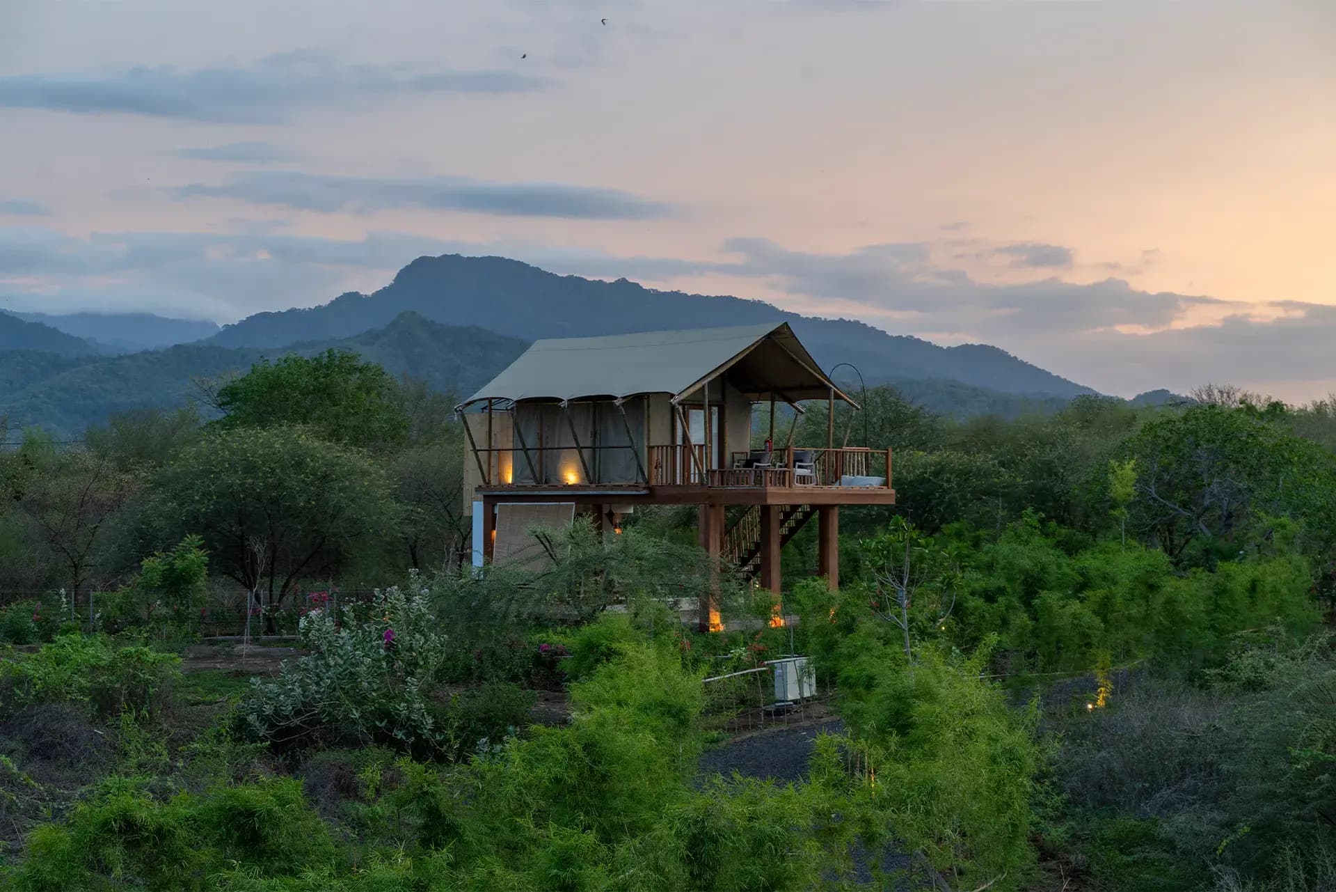 Jungle Tent