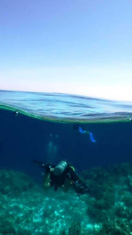 Dive