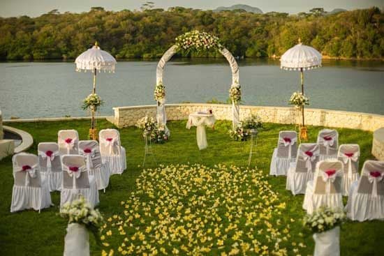 Wedding Setup