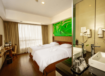 Deluxe Twin Bed