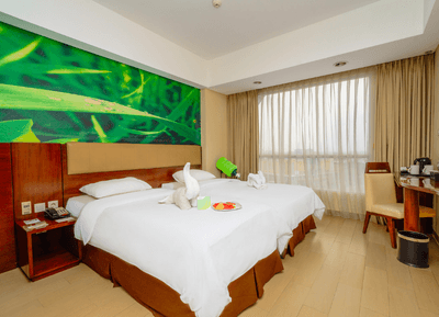 Superior Twin Bed